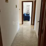 Rent 3 bedroom apartment of 80 m² in Silvi