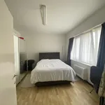 Rent 1 bedroom apartment in Antwerp