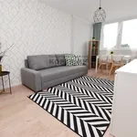 Rent 2 bedroom apartment of 36 m² in Toruń