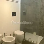 Rent 3 bedroom apartment of 65 m² in Asti