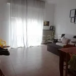 Rent 3 bedroom apartment of 65 m² in Parma