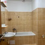 Rent 3 bedroom apartment of 60 m² in Trhový Štěpánov