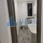 Rent 1 bedroom apartment in Lovnic