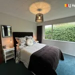 Rent 5 bedroom apartment in Dunedin