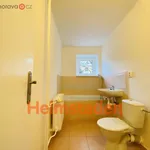 Rent 3 bedroom apartment of 53 m² in Trhový Štěpánov