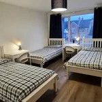 Rent 7 bedroom apartment in Dublin