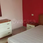 Rent 2 bedroom apartment of 60 m² in Frosinone