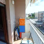 Rent 4 bedroom apartment of 86 m² in Adria