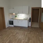 Rent 2 bedroom apartment of 41 m² in Brno