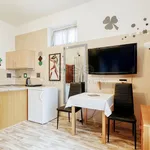 Rent 1 bedroom apartment of 29 m² in Karlovy Vary