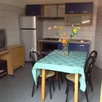 Rent 3 bedroom apartment of 80 m² in Pavia