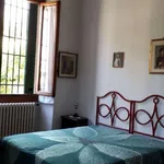 Rent a room in florence