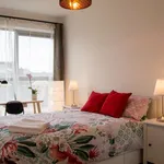 Rent 1 bedroom apartment in dublin