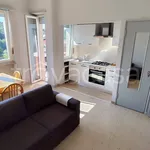 Rent 1 bedroom apartment of 33 m² in Banchette