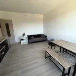 Rent 1 bedroom apartment of 30 m² in GRENOBLE