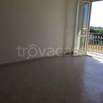 Rent 3 bedroom apartment of 70 m² in Roma