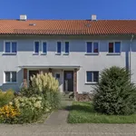 Rent 2 bedroom apartment of 56 m² in Münster