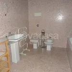 Rent 3 bedroom apartment of 110 m² in Padova