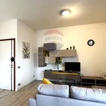 Rent 2 bedroom apartment of 54 m² in Salsomaggiore Terme