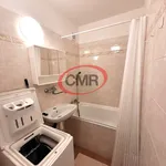 Rent 1 bedroom apartment of 31 m² in Capital City of Prague