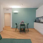 Rent 1 bedroom apartment in Milan