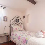 Rent 2 bedroom apartment of 45 m² in florence