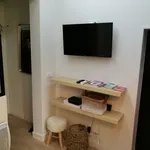 Rent 1 bedroom apartment of 150 m² in Lyon