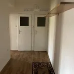 Rent 1 bedroom apartment in Ostrava