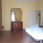 Rent 2 bedroom apartment of 65 m² in Roma