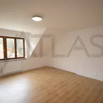 Rent 5 bedroom house in Prague