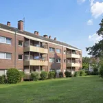 Rent 1 bedroom apartment of 31 m² in Dorsten