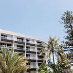 Rent 1 bedroom apartment in Coolangatta