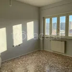 Rent 2 bedroom apartment of 75 m² in Marigliano