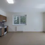 Pronájem bytu 2+kk 65m²