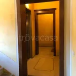 Rent 3 bedroom apartment of 79 m² in Modena