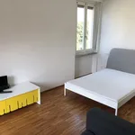 Rent 1 bedroom apartment of 45 m² in Torino