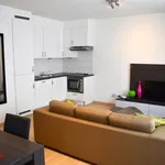 Rent 1 bedroom apartment in Brussels