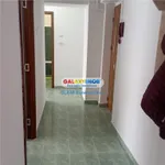 Rent 2 bedroom apartment of 56 m² in Târgoviște