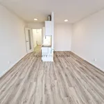 Rent 1 bedroom apartment in Brno