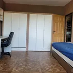 Rent 3 bedroom apartment in Teplice