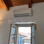 Rent 2 bedroom apartment of 60 m² in Torino