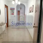 Affitto 3 camera appartamento di 120 m² in Siracusa