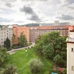 Rent 1 bedroom apartment of 35 m² in Brno