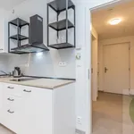 Rent 1 bedroom apartment in Prague