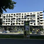 Rent 2 bedroom apartment of 48 m² in Graz