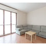 Rent 2 bedroom apartment of 68 m² in Milano