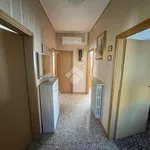 Rent 4 bedroom house of 80 m² in Castelnovo di Sotto