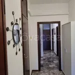 Rent 1 bedroom apartment of 15 m² in Venezia