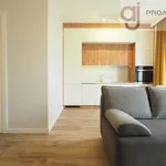 Rent 1 bedroom apartment of 25 m² in Łódź