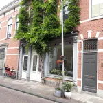 Rent 2 bedroom house of 49 m² in Haarlem